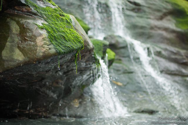 Waterfall near Merlin's cave